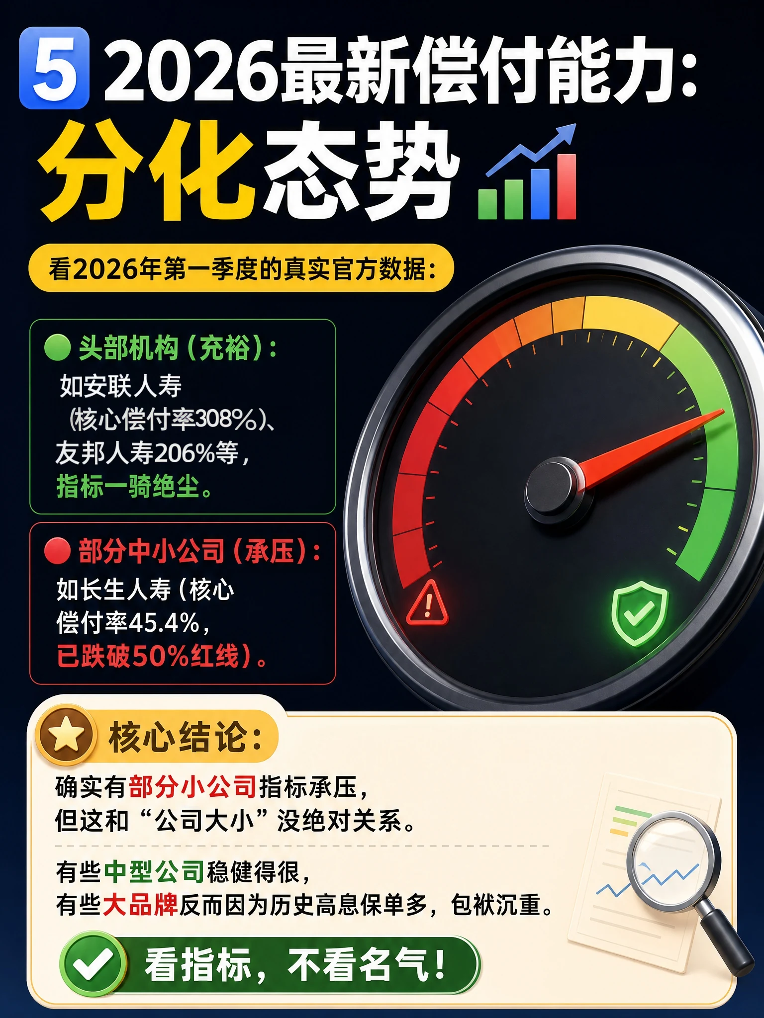 偿付能力两极分化